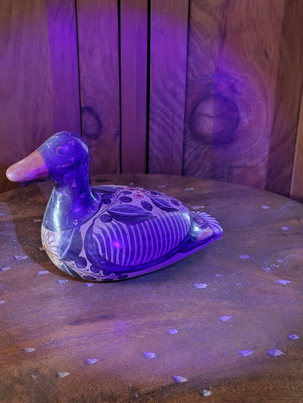 Tonala Duck - Picture 13 of 15